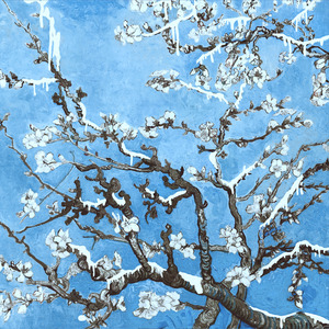 国产一区二区三区黄片
